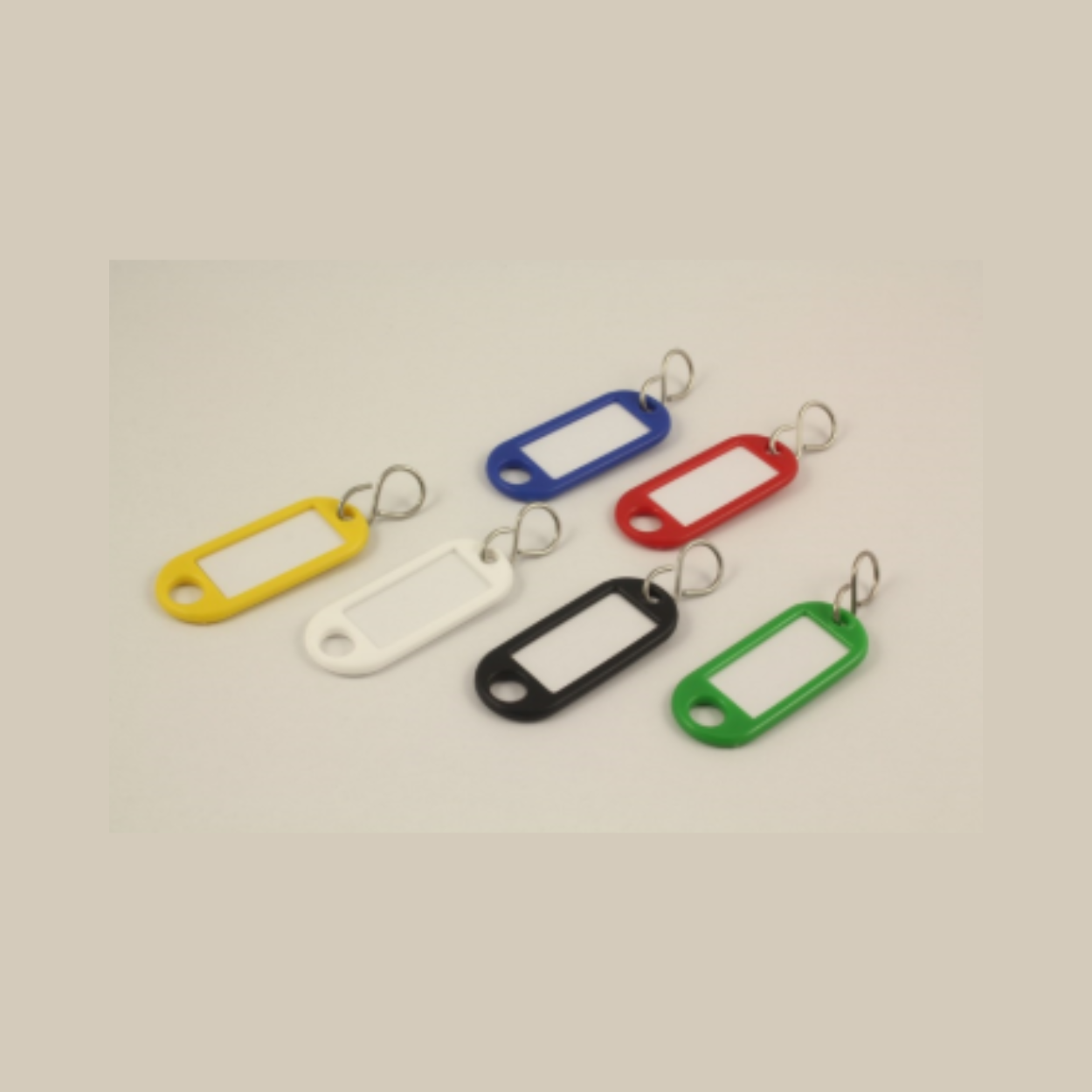 Key Label Plastic (10)