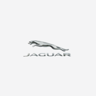 Epoxy Logo Jaguar