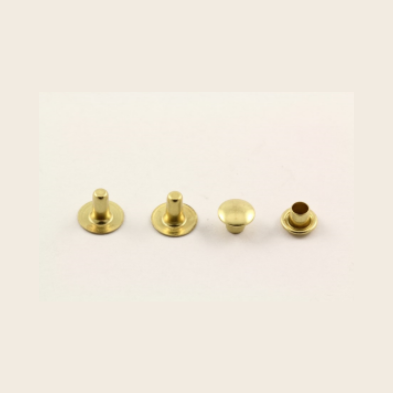 RIVETS 3 FRANCE - DIAM CAP APPR. 7 MM