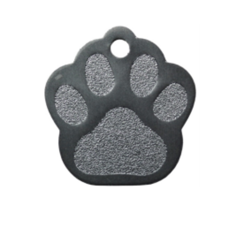 HKP26 Medal Foot M silver 26x28