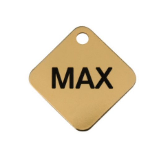 HKP6 Dog medal square gold