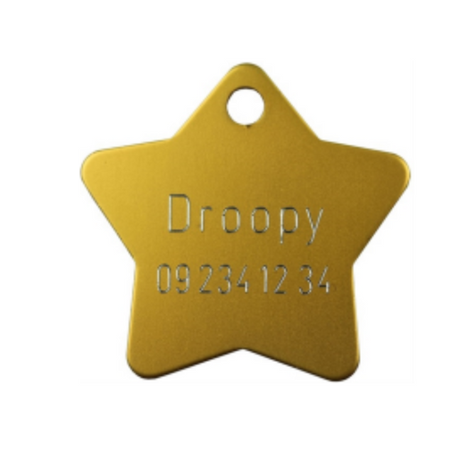 HKP17 Medal Star L gold 36x36