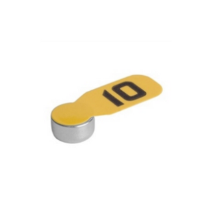 HEARING AID EZ10 T&L DP8