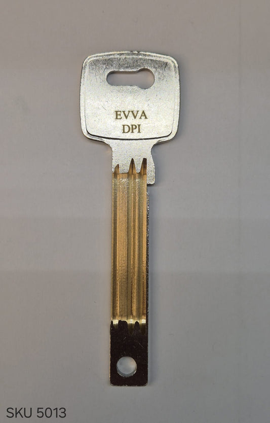 EV DPI